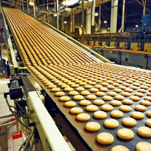 Procesarea și ambalarea alimentelor
